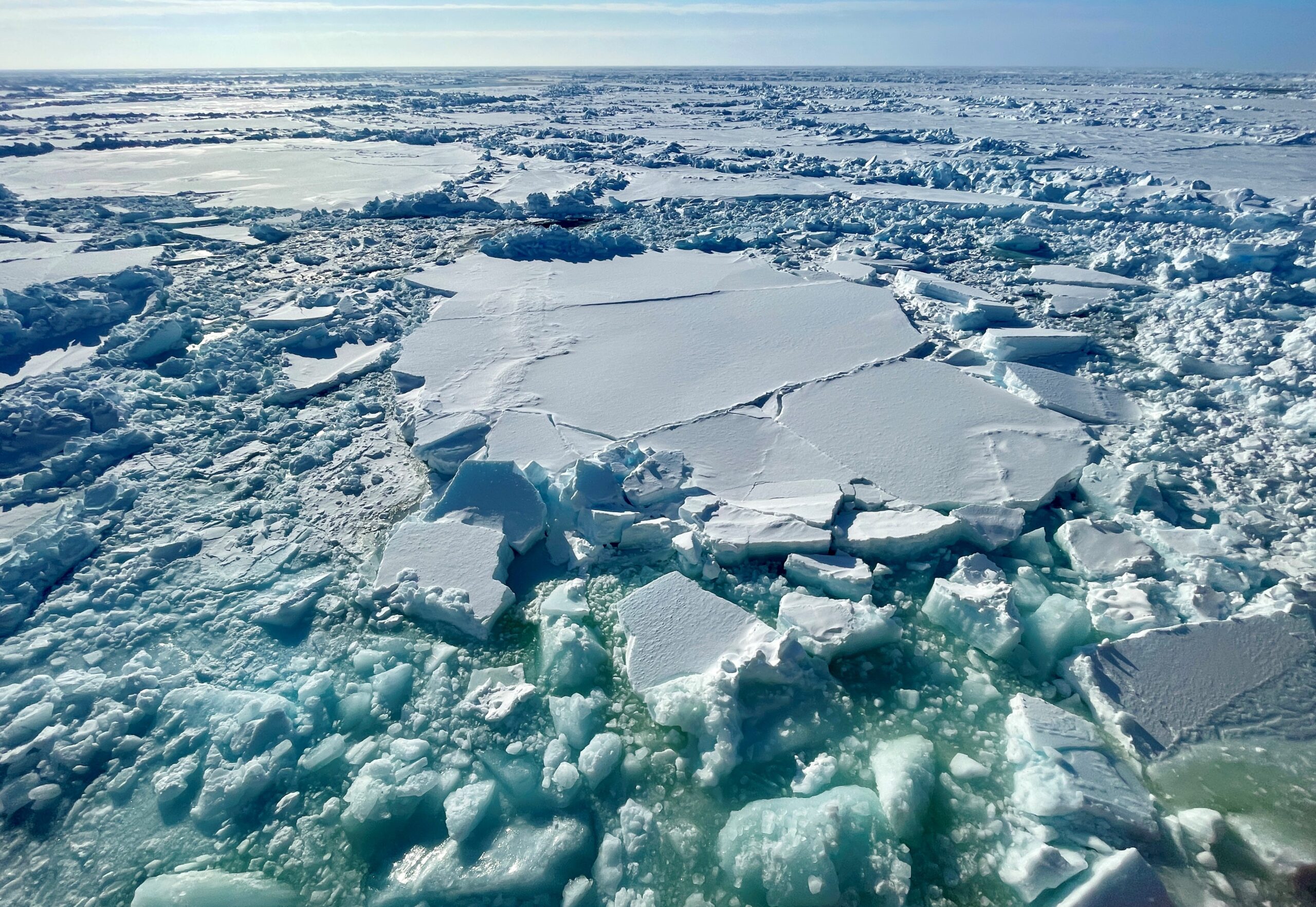 Brown-colored sea ice algae blooms